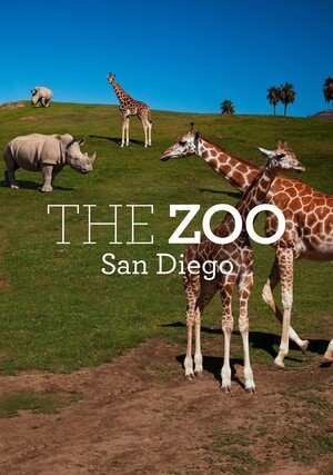     Zoo w San Diego